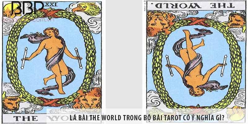 Lá bài The World trong bộ bài Tarot có ý nghĩa gì?