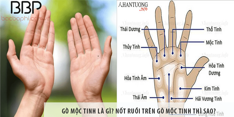 Gò mộc tinh là gì? Nốt ruồi trên gò mộc tinh thì sao? - Nhantuong.info