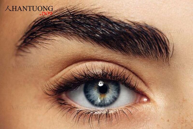 Mày mọc sát mắt Mày mọc sát mắt